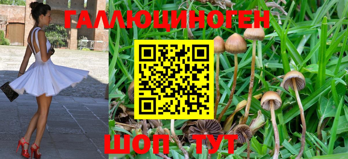 Псилоцибиновые грибы GOLDEN TEACHER  Вход с VPN  Моршанск 